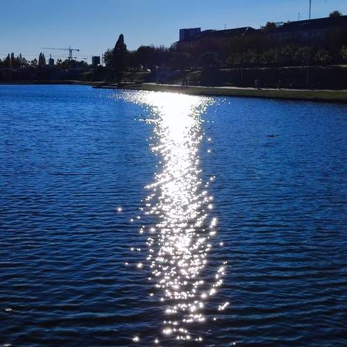 Photo #12993599