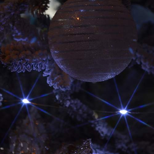 Photo #12993637