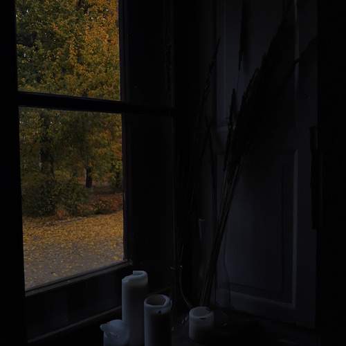 Photo #12993824