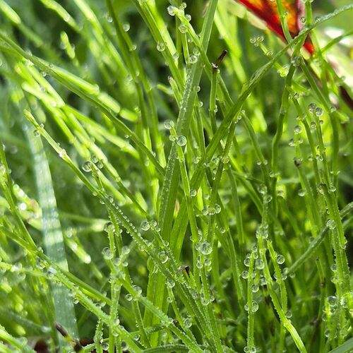 Photo #12994024