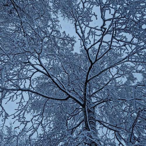 Photo #12994105
