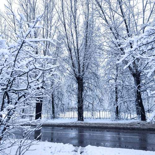 Photo #12994106