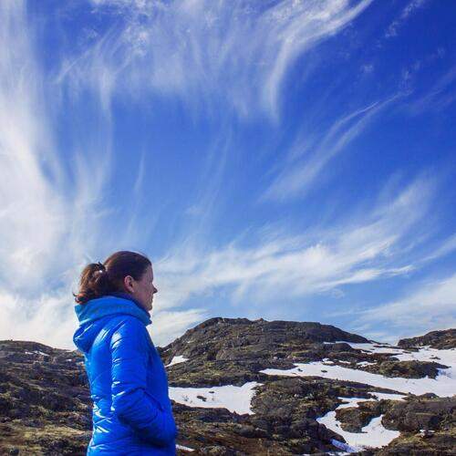 Photo #12994230
