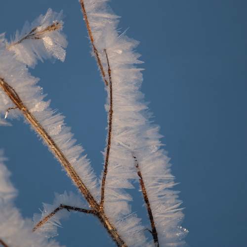 Photo #12994441