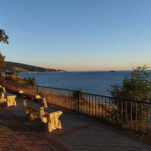 Photo #12994628