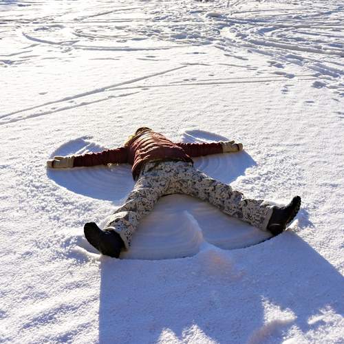 Photo #12994684