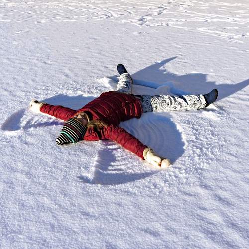 Photo #12994690
