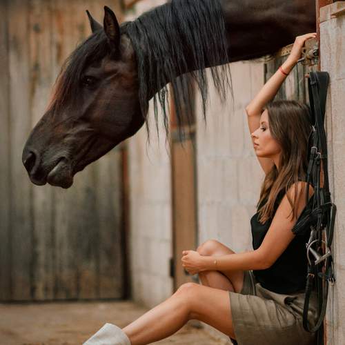 Фотография #12994799