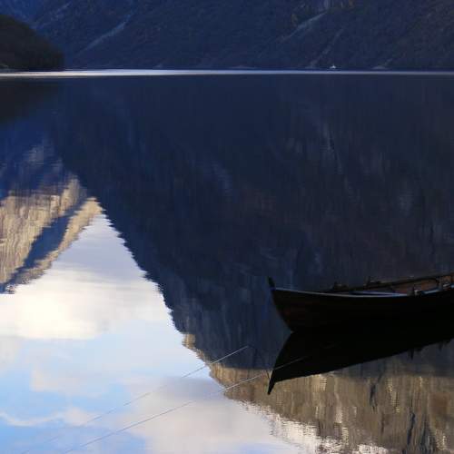 Photo #12994858