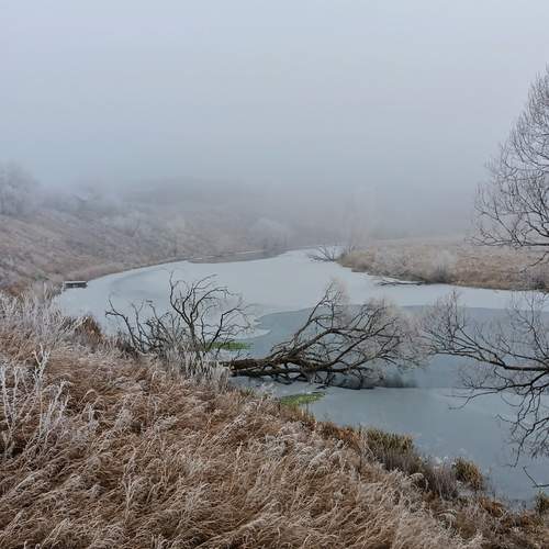 Декабрьский пейзаж