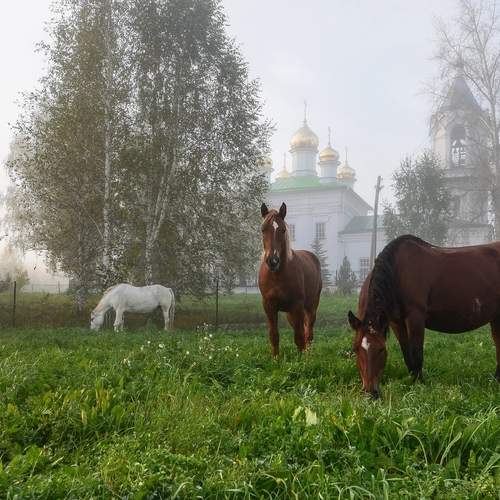 Photo #12995347