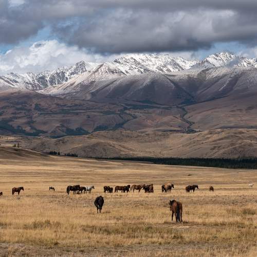 Photo #12995349
