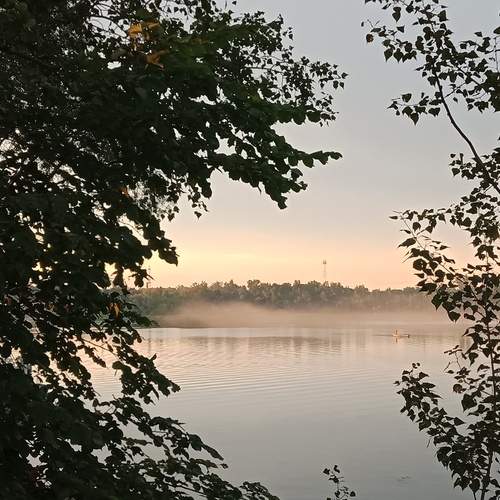 Photo #12995539