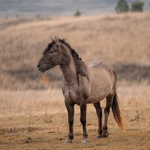 Фотография #12995666