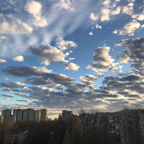 Photo #12995706