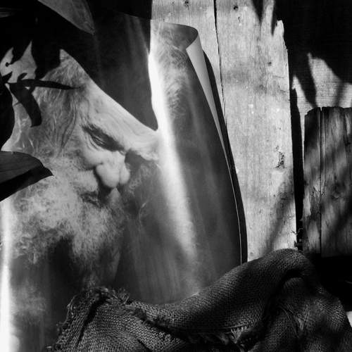 Photo #12995771