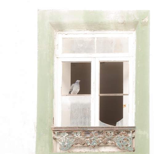 Photo #12995775