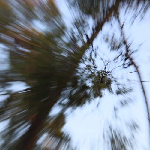 Photo #12995999