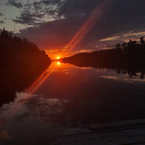 Photo #12996119