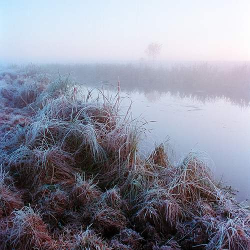 Photo #12996181