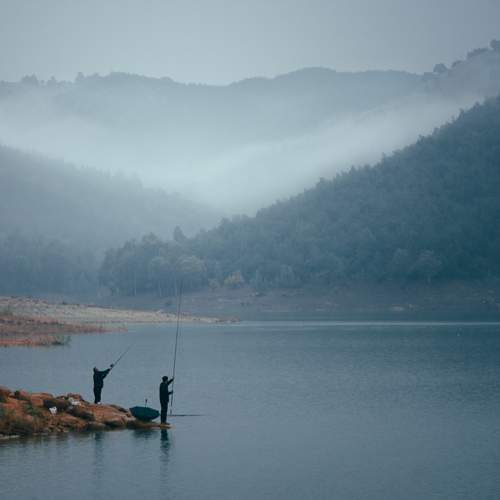 Photo #12996495