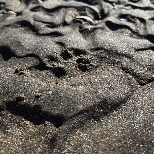 Photo #12996598