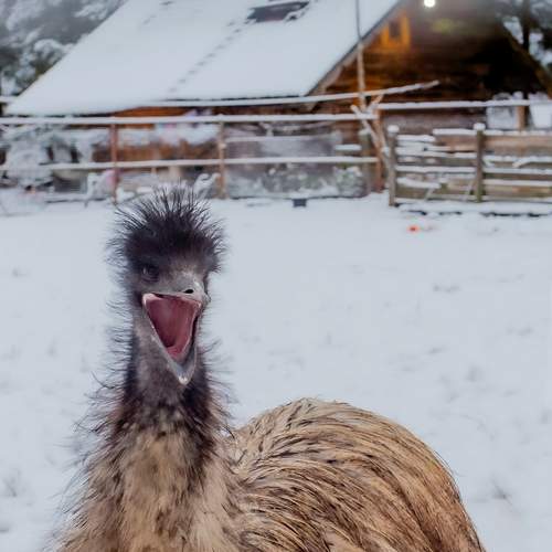 Photo #12996599