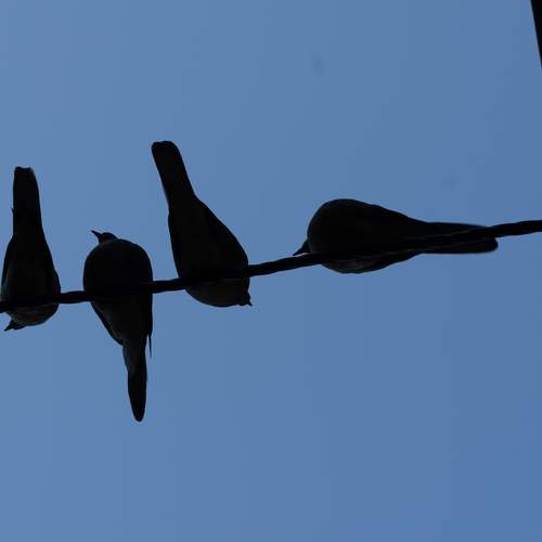 Suspended Time