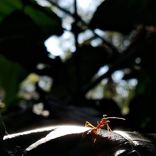 Photo #12997259