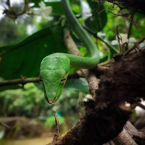 Photo #12997261