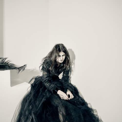 Photo #12997599