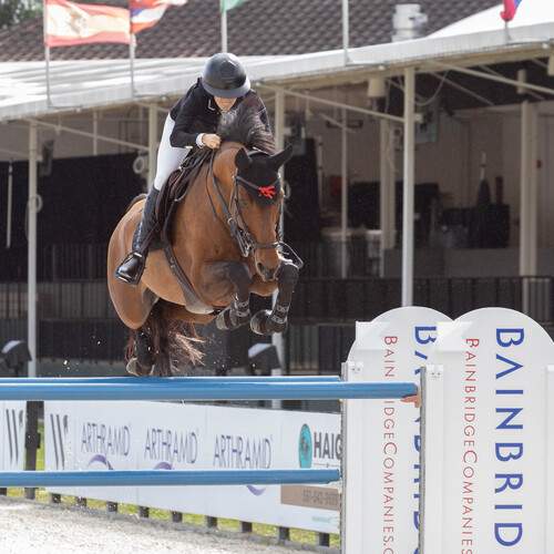 Photo #12997621