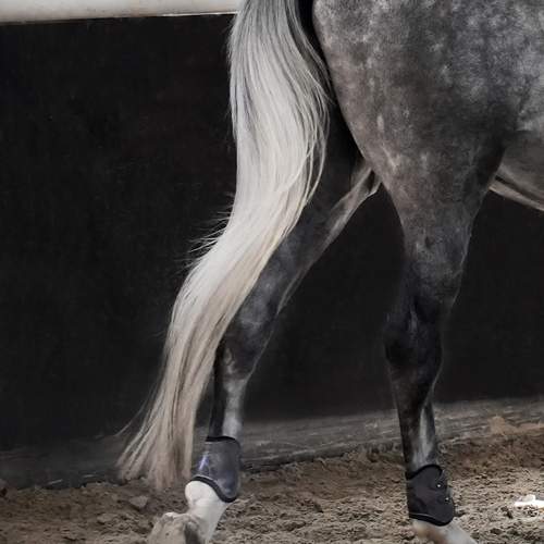 Photo #12997642
