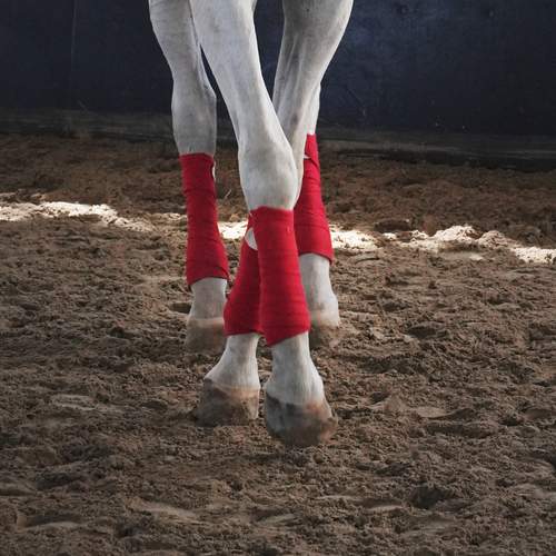 Photo #12997643
