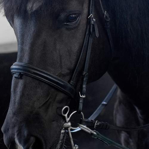 Photo #12997644