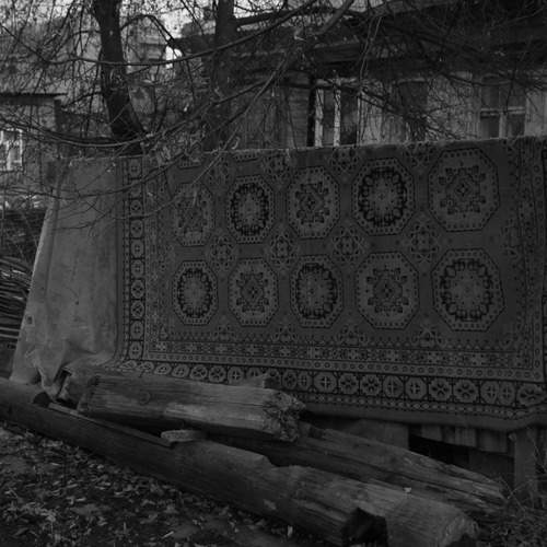 Photo #12997648