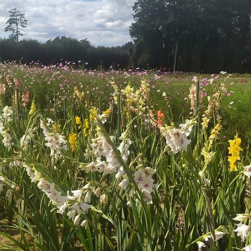 Photo #12997660