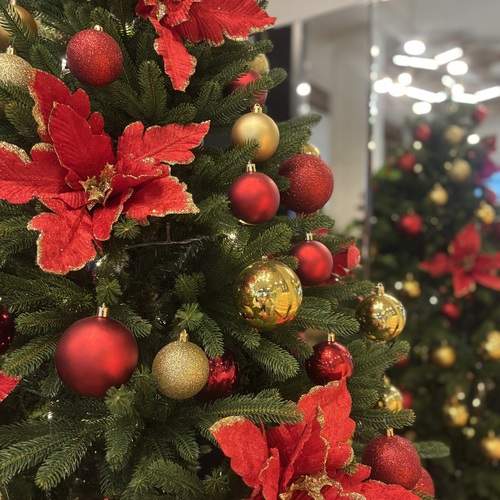 Photo #12997714