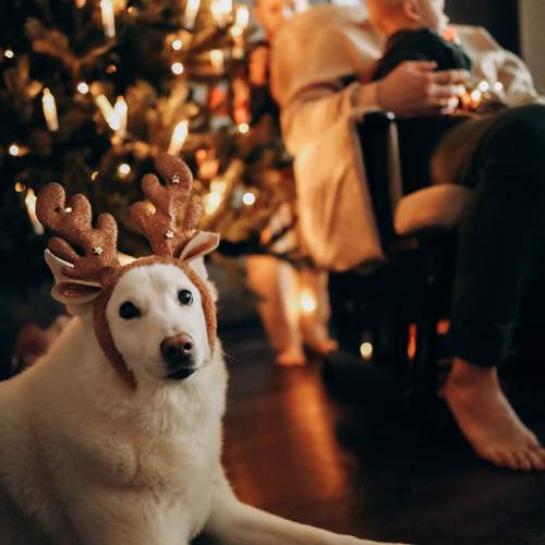 Photo #12997767