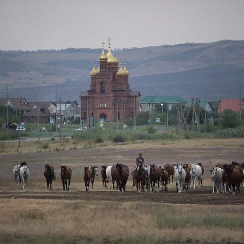 Photo #12997869