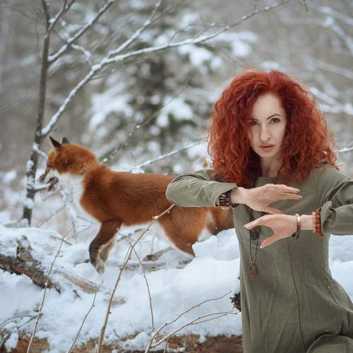 Фотография #12997966