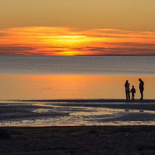 Photo #12998108