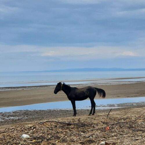 Photo #12998146