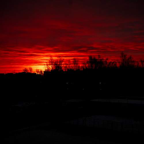 Photo #12998157