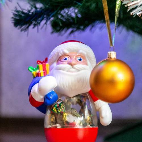 Photo #12998257