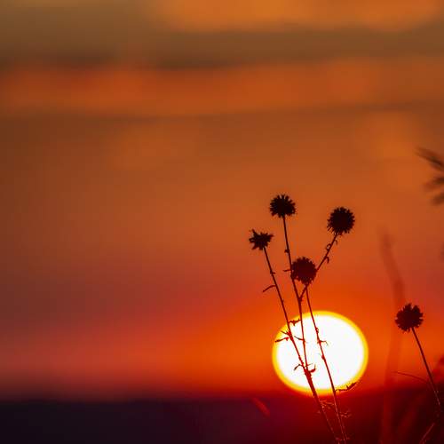 Photo #12998280