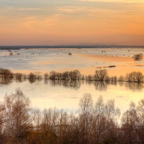 Photo #12998510