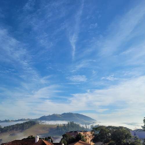 Photo #12998596