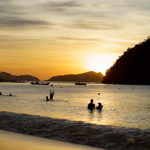 Photo #12998687