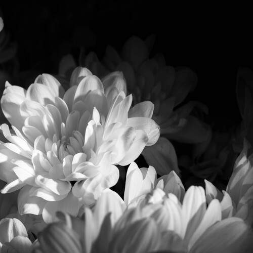 Photo #12998712
